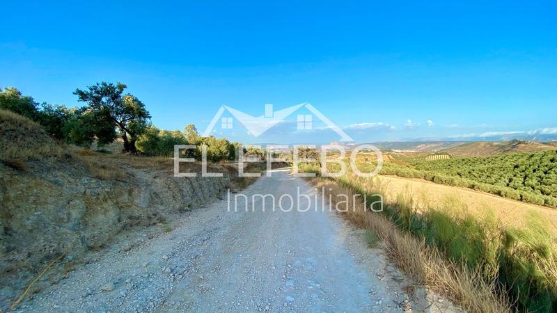 Foto 18052ae6-c0f6-414f-9825-49da5779e079. Landgut in Centro Antequera