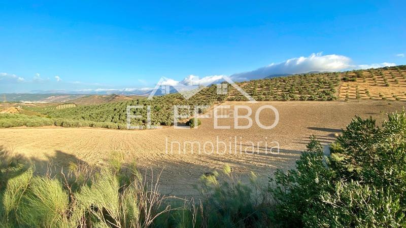 Foto 35007591-66d1-48e6-a7ef-2aadafddb39a. Landgut in Centro Antequera