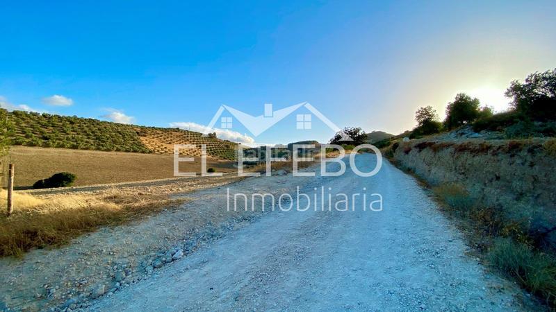 Foto 7421de65-67c1-4d5a-9db2-1f951f24050f. Landgut in Centro Antequera