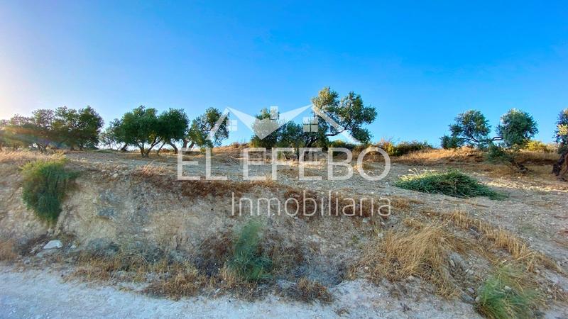 Foto 9e134742-fc52-421e-8dc1-3fe6c82d2c24. Landgut in Centro Antequera