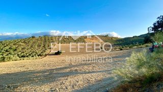 Landgut in Centro. Terreno de 39.000 m2 en antequera