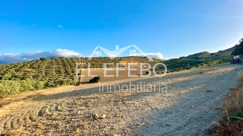 Foto da8f2230-d478-4195-b455-24a7a2b25a91. Landgut in Centro Antequera