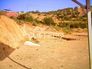 Finca rústica a Archidona. Terreno en venta en archidona