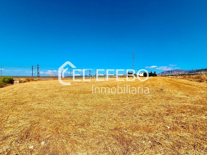 Foto 0164e83e-5c3e-42a3-bece-9aa0b9f96c34. Landgut in Centro Antequera