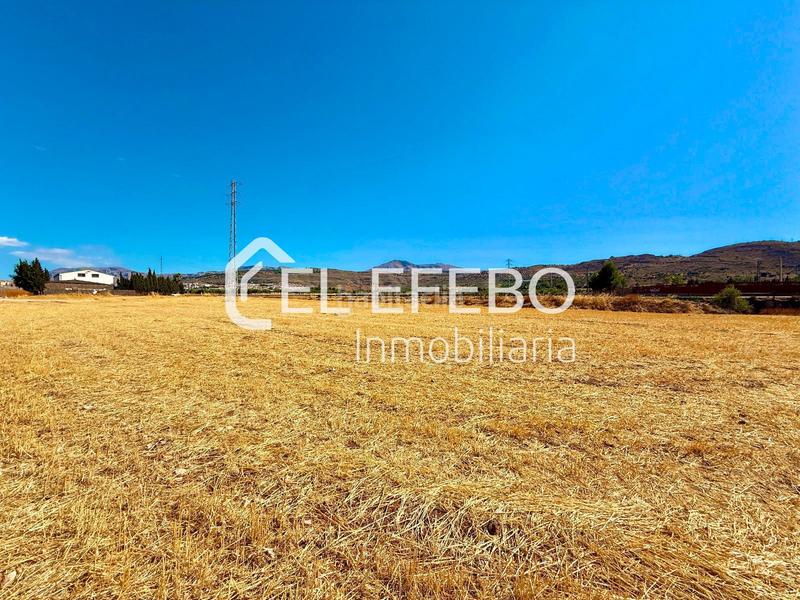 Foto 235e9196-8403-473c-aefa-9299dfeadc92. Landgut in Centro Antequera