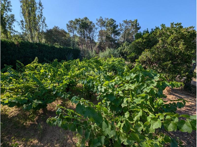 Foto 2542e427-dce7-486b-a106-5d69ae518a4f. Casa en molinas 126 casa a 4 vientos con amplio terreno con viñedo y pozo en Mont-ras