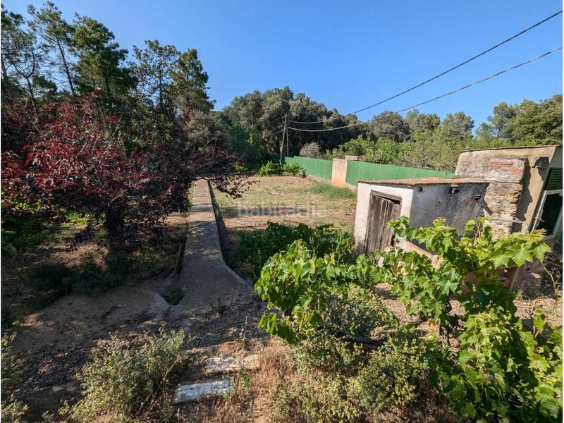 Foto 7ab2595c-b2e9-43dc-9dd3-11b9b6df7000. Casa en molinas 126 casa a 4 vientos con amplio terreno con viñedo y pozo en Mont-ras