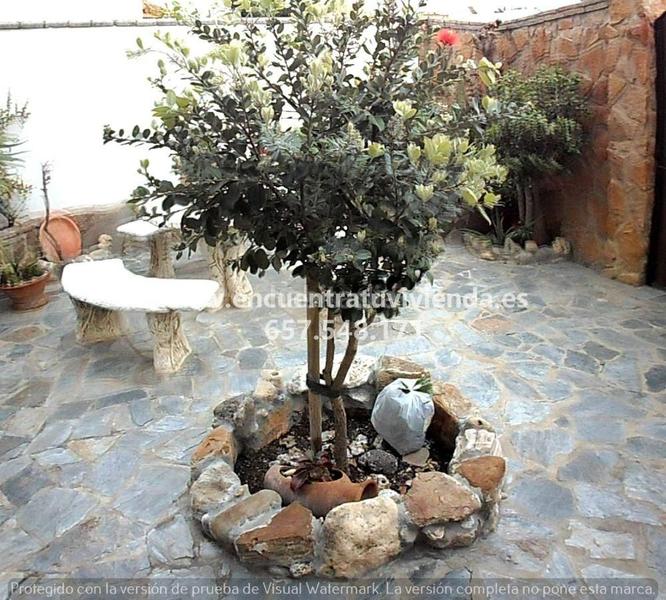 Foto 006632b9-51e0-41bd-82de-e57333f80c0f. Casa /casa en La Soledad Chiclana de la Frontera