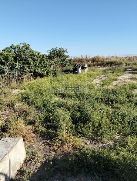 Foto 629bfa21-e961-4fd6-9ac2-08a34778e35c. Chalet  en Pelagatos - Pago del Humo Chiclana de la Frontera