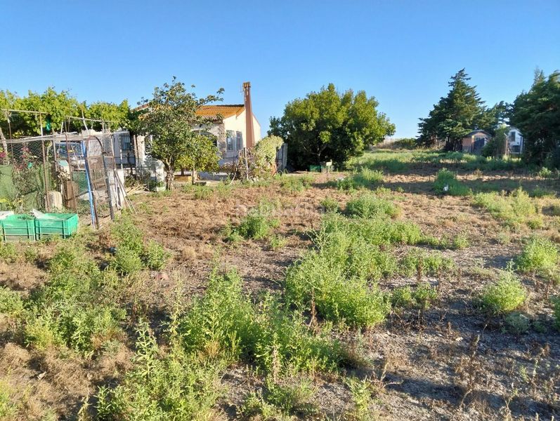 Foto ab0d7504-3cb1-4b8b-8d16-28adf2188310. Chalet  en Pelagatos - Pago del Humo Chiclana de la Frontera