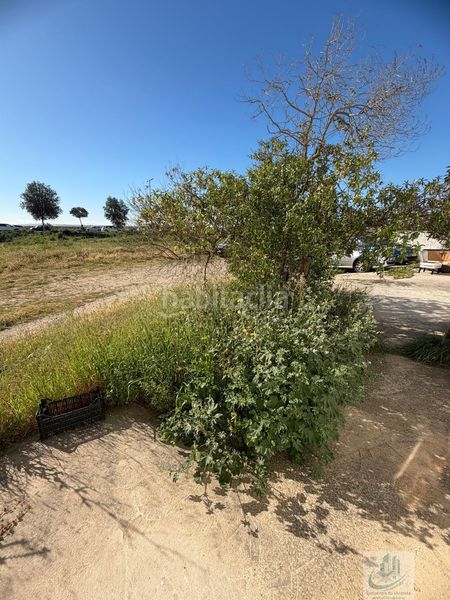 Foto cbd3d4fe-8b47-475f-b99e-d69f59331c12. Casa  en Cobreros Viejo San Fernando