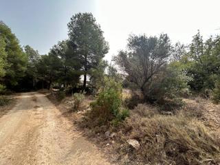 Finca rústica a Alcora (l´). Terreno en venta en lalcora