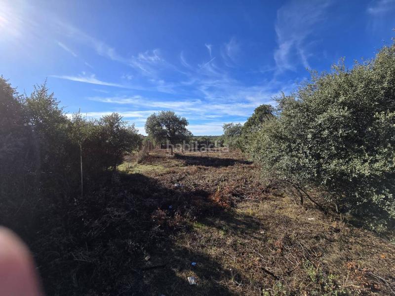 Foto 2f086a8b-6106-4d5e-b6db-ccaadfce605b. Terreny residencial a Pioz