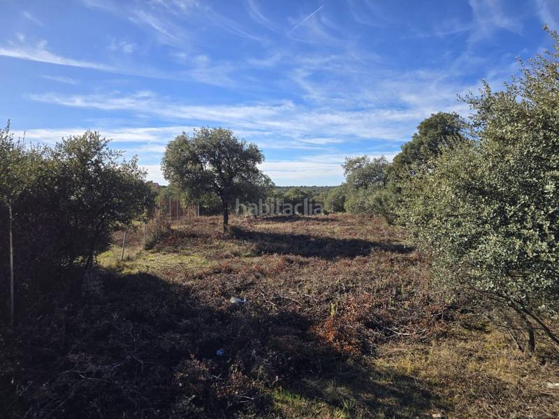 Foto b7f41641-db45-40b5-80b7-0f68d58ef2ab. Terreny residencial a Pioz