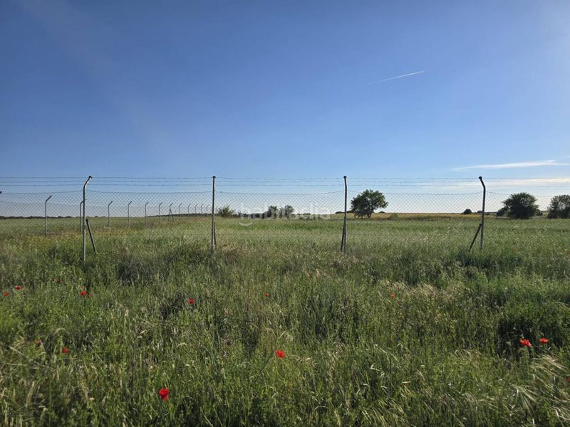 Foto 008ce787-81e2-491d-926f-f742ad210f4f. Finca rústica terreno en venta en Pioz