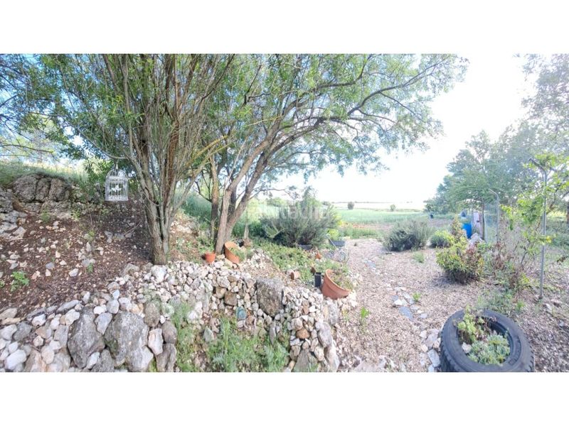 Foto 0b6126ff-410b-4fc4-80e0-363e1ab864e2. Finca rústica terreno en venta en Pioz