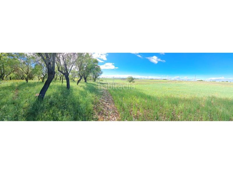 Foto 0ddda7aa-3bec-478b-a2eb-3806793be47b. Finca rústica terreno en venta en Pioz