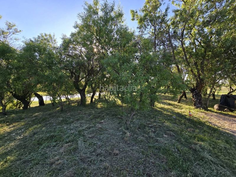 Foto 1940f735-1278-49f4-b140-7f822cc4f59d. Finca rústica terreno en venta en Pioz
