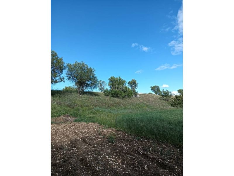 Foto 1e4c54da-7633-4f19-aab5-88eff2fbeb49. Finca rústica terreno en venta en Pioz