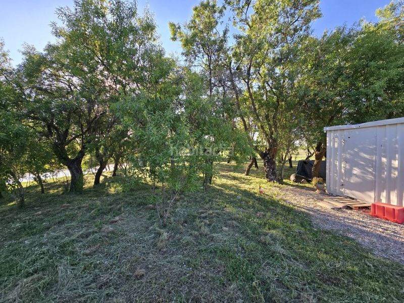Foto 3f5cd77d-ab94-4424-98cf-0585560aae2d. Finca rústica terreno en venta en Pioz