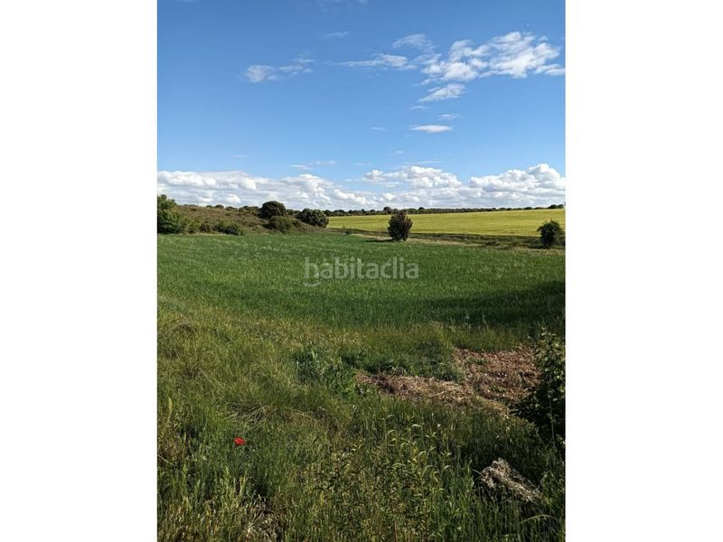 Foto 53561d93-0479-4c69-aa08-c3af8c43aa34. Finca rústica terreno en venta en Pioz