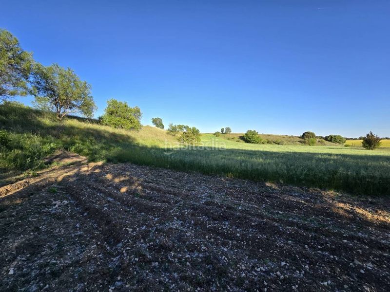 Foto 54432e8a-88f6-4113-8c32-335923e00fdd. Finca rústica terreno en venta en Pioz