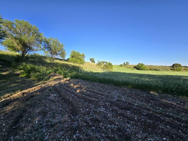 Foto 59d0f59a-73ae-46c1-9dce-4fa59f1758dd. Finca rústica terreno en venta en Pioz