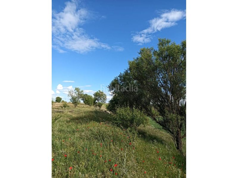 Foto 73e5a53e-4777-42bc-adf9-7ed78cebdd83. Finca rústica terreno en venta en Pioz