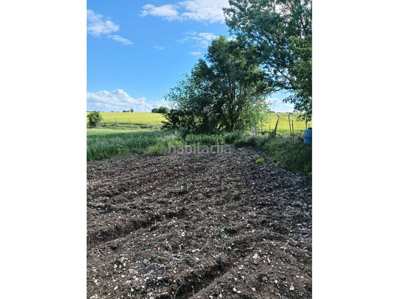 Foto 83781d7d-378c-40ff-8a8f-71fd9fc6c12c. Finca rústica terreno en venta en Pioz