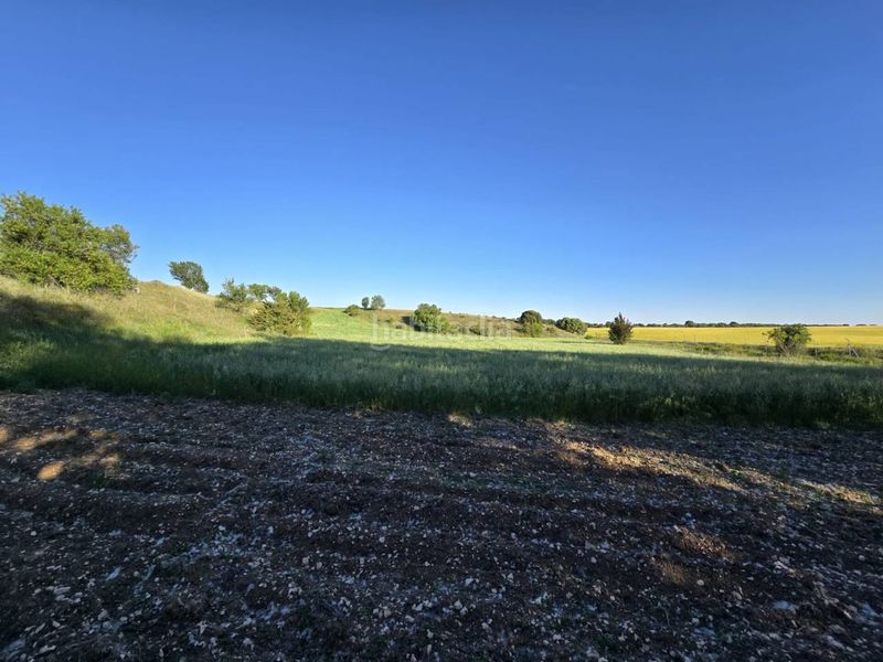 Foto a33d9582-2e9b-49cb-b8d7-a2eaf20661fe. Finca rústica terreno en venta en Pioz