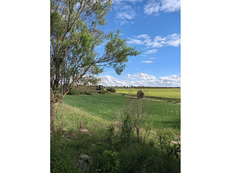 Foto a3964e97-9755-4899-ab66-7f4363eb82d8. Finca rústica terreno en venta en Pioz