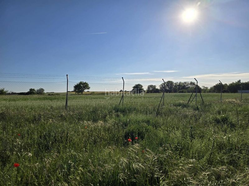 Foto a5efb6e5-80b5-4b1e-a8c5-e72edd5e2fdf. Finca rústica terreno en venta en Pioz