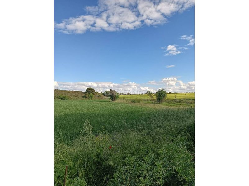 Foto a99e4cd1-ee92-4248-8298-8484e36a1dbe. Finca rústica terreno en venta en Pioz