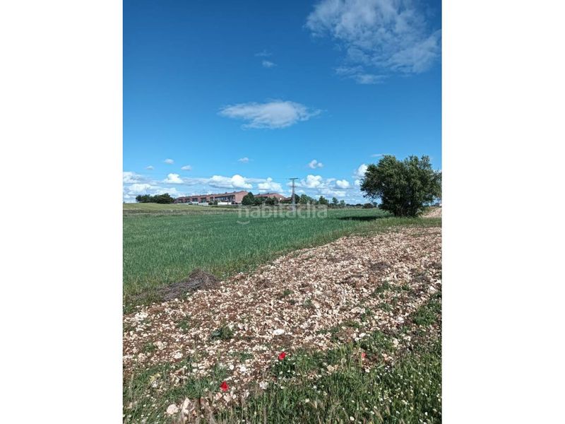 Foto bbfd9ad8-92ca-478f-97fd-6adaec85e29c. Finca rústica terreno en venta en Pioz