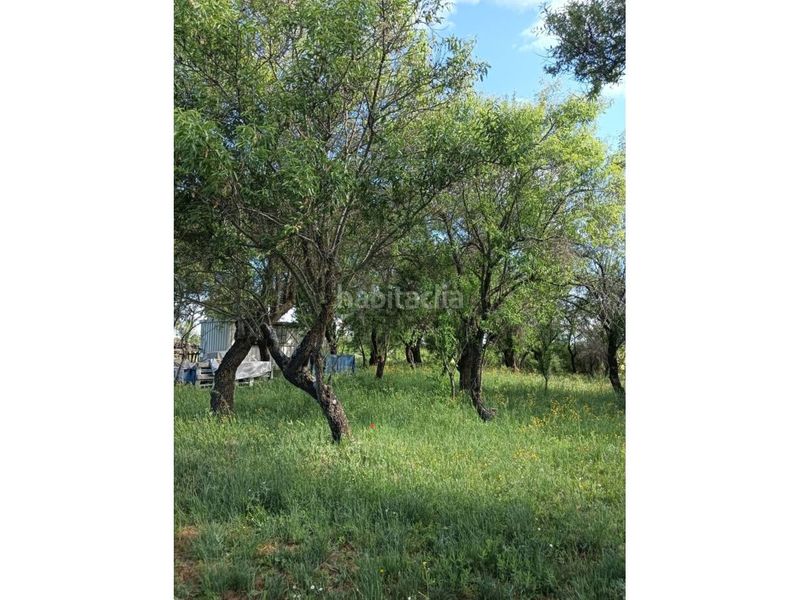 Foto c00e28a9-18e9-49f2-a17e-197d6020bb80. Finca rústica terreno en venta en Pioz