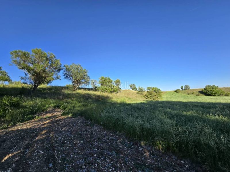 Foto c76f01fe-8001-491c-be0a-308f2e466bb6. Finca rústica terreno en venta en Pioz