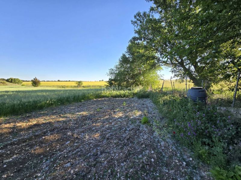 Foto e6af7604-4b13-4b8f-9acc-02b7ff6f955e. Finca rústica terreno en venta en Pioz