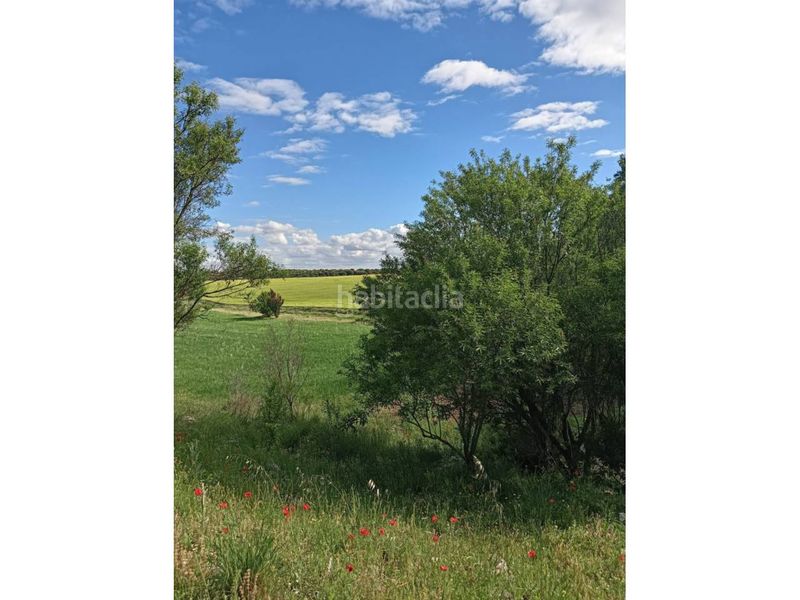 Foto f074d275-cc24-4187-b964-a618508c6b22. Finca rústica terreno en venta en Pioz