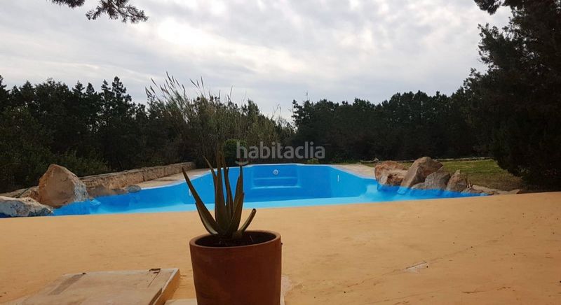 Foto ea31b59f-3d04-40c9-acbc-02082a03f0ab. Affitto casale in carrer de cala en baster 3751 in Formentera
