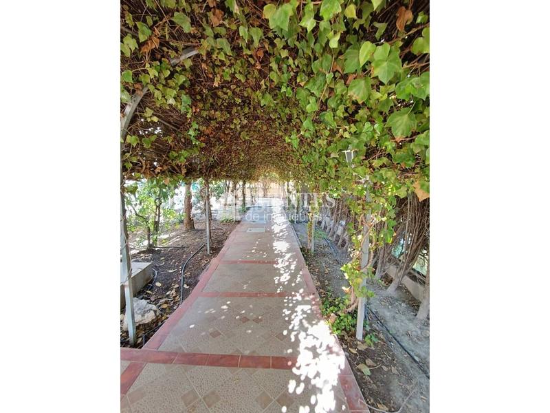 Foto 46efd5b4-6c1e-42a7-888b-650f1ab8d61b. Xalet amb aparcament piscina a Pueblo Guardamar del Segura