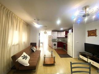 Pis a Cronista Viravens