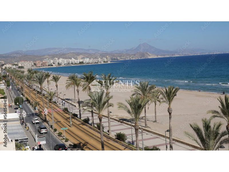 Foto 76cdedf3-3959-405d-bf3c-1a91db223ade. Pis a Campello Playa Campello (el)