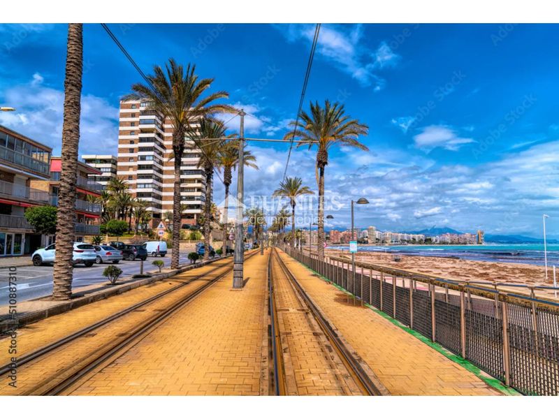 Foto 92266ef7-e558-4343-93d2-6a868153a829. Pis a Campello Playa Campello (el)