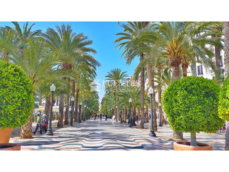 Foto 711f011b-e137-4672-8ef7-3d8626111031. Pis a Campoamor Alicante