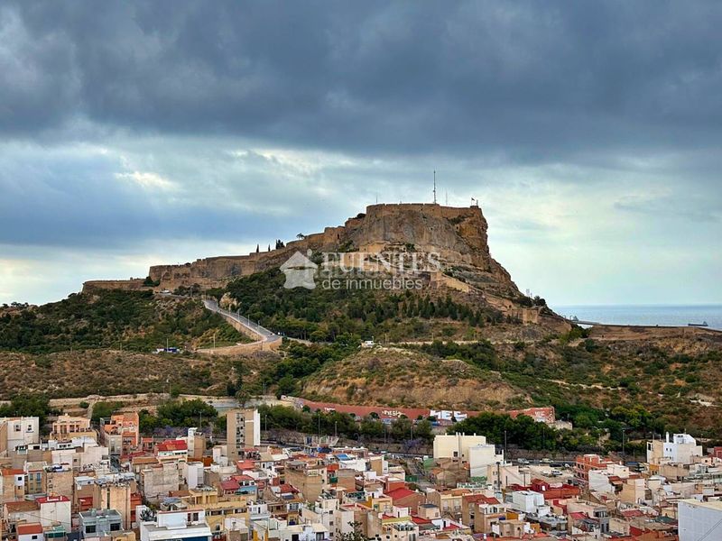 Foto a5717b88-6d83-4c67-9bd5-dd53e02c4f0e. Pis a Campoamor Alicante