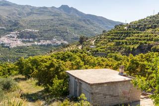 Finca rústica a Carretera partida de turillas umbría las viñas. Magnífica finca con frutales y construcciones