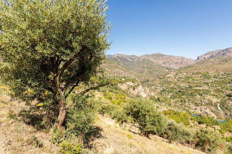 Foto 0ed5beeb-368c-4b58-9faf-5222b1921711. Propriété dans carretera partida de turillas umbría las viñas dans Otívar