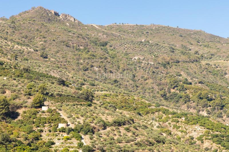 Foto 5c861fec-eae7-4ef7-a434-23189ae5f938. Propriété dans carretera partida de turillas umbría las viñas dans Otívar