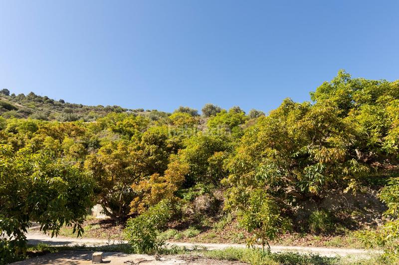 Foto 70864ab0-7f1c-4b6d-8a81-1bb9ba77fc18. Propriété dans carretera partida de turillas umbría las viñas dans Otívar