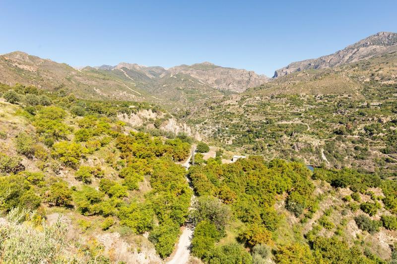 Foto 7da5f8fa-8d5f-42a2-9fea-dec01e35c518. Propriété dans carretera partida de turillas umbría las viñas dans Otívar